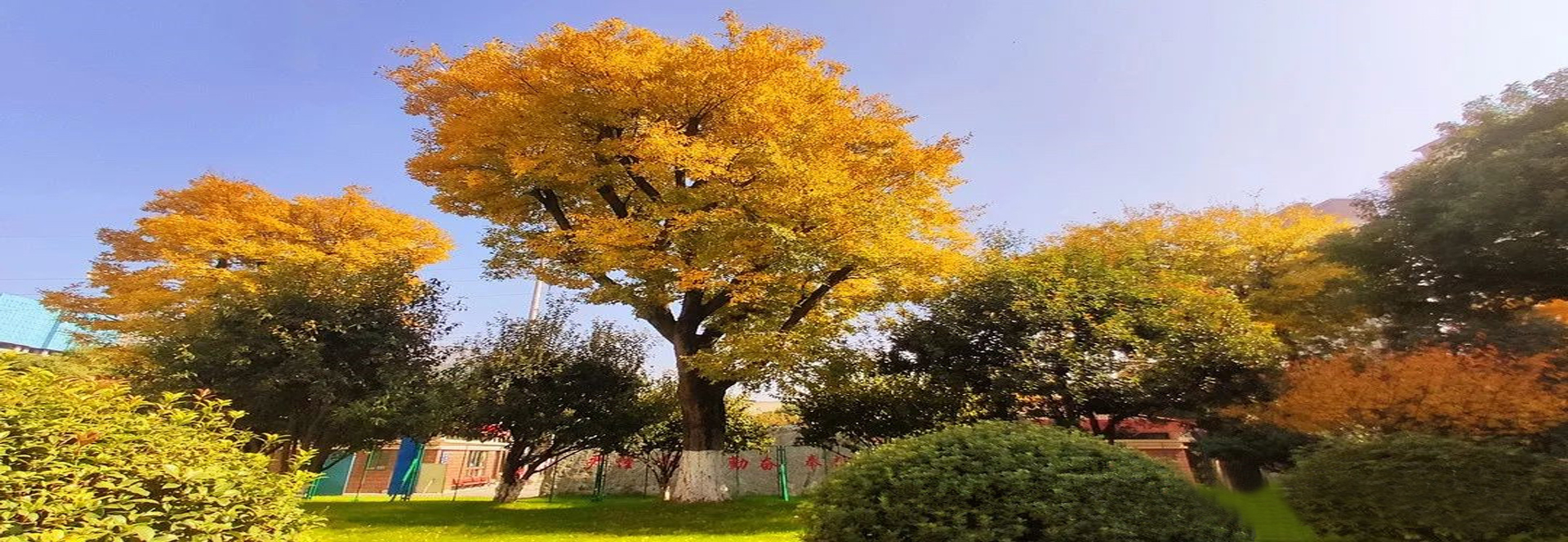 風(fēng)景4